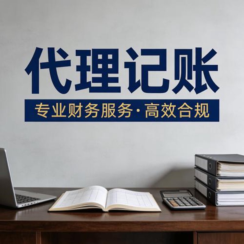 代理记账机构